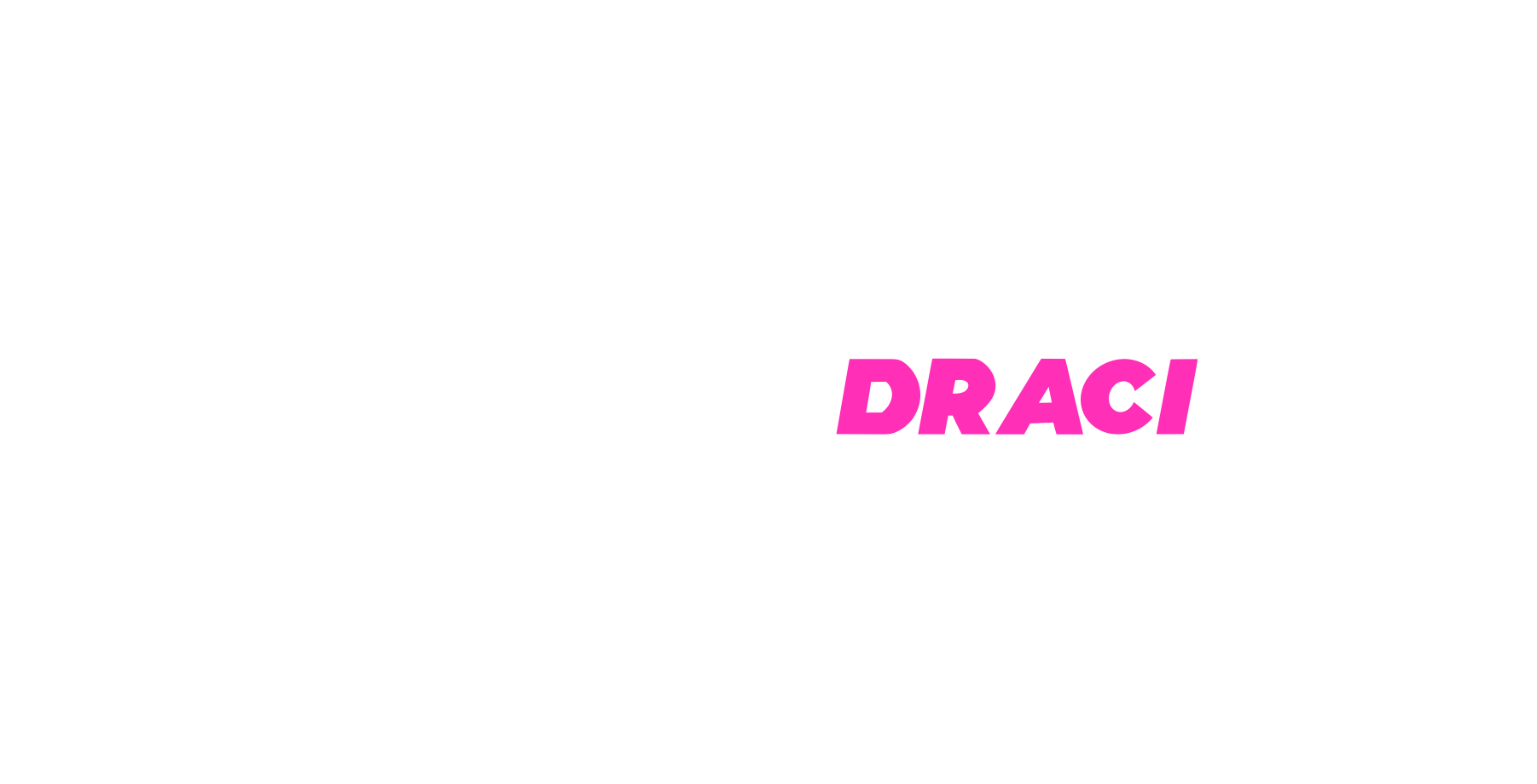 Volejbal Písek Draci